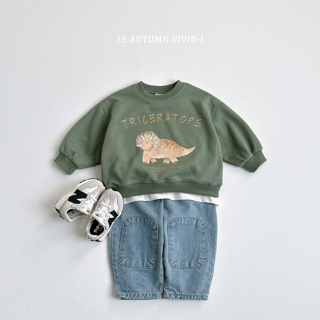 25็ง๐stegosaurus/tyrannosaurus/triceratopsๆ้พไธ่กฃ