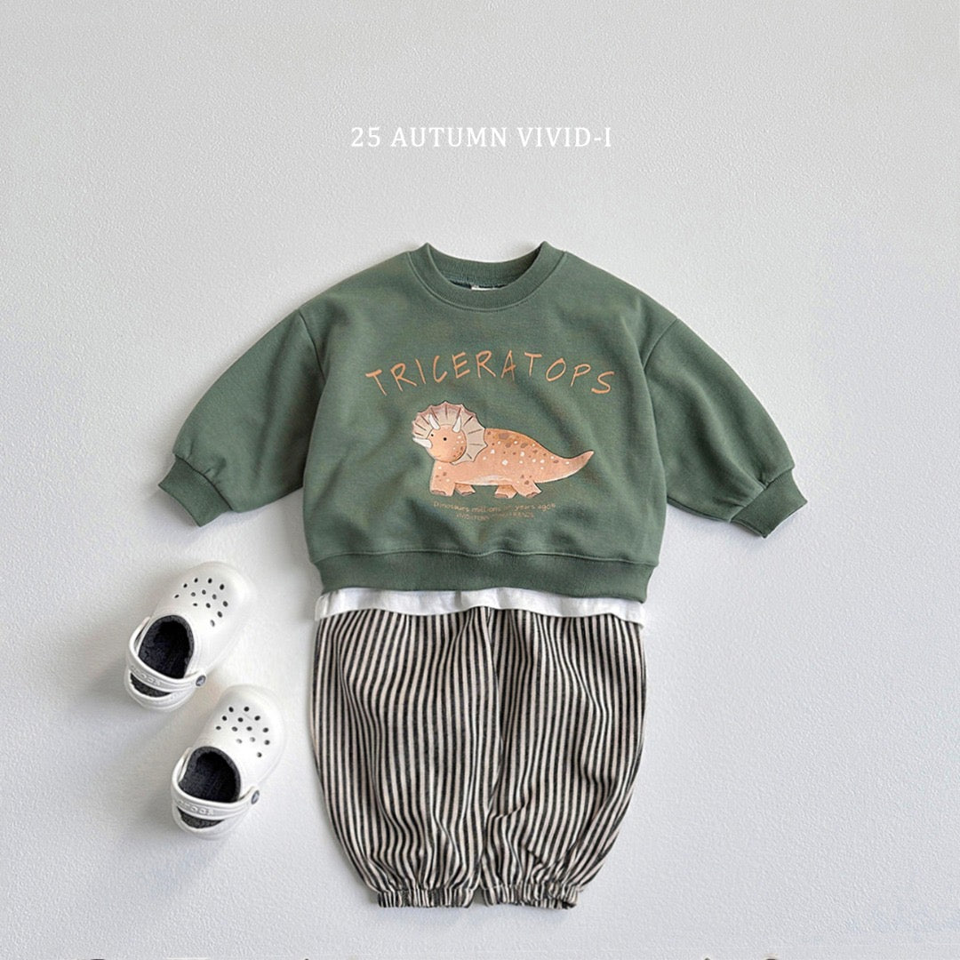 25็ง๐stegosaurus/tyrannosaurus/triceratopsๆ้พไธ่กฃ