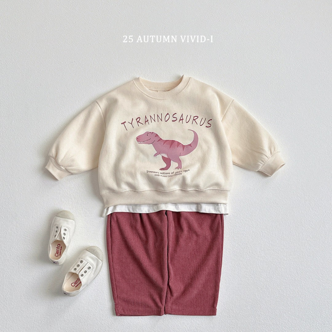 25秋🍁stegosaurus/tyrannosaurus/triceratops恐龍上衣