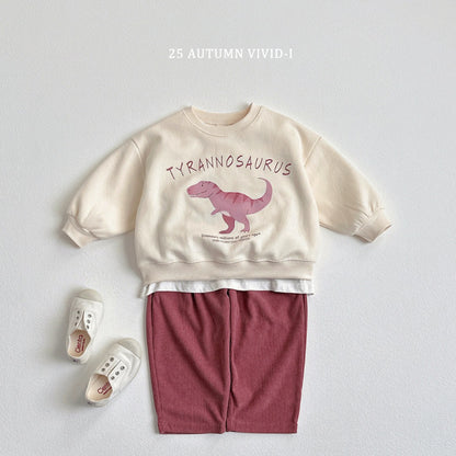 25秋🍁stegosaurus/tyrannosaurus/triceratops恐龍上衣