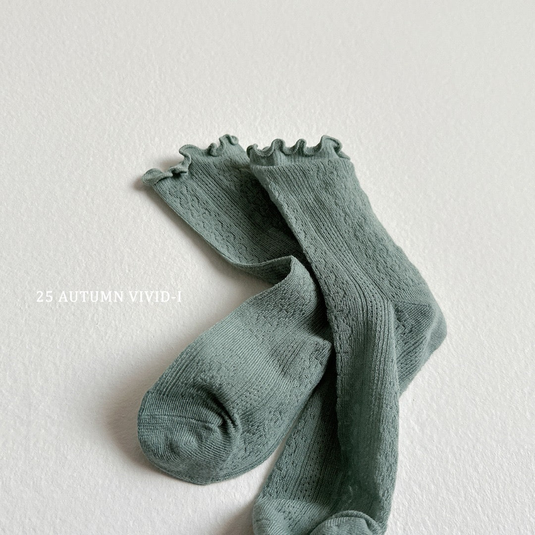 25秋🍁襪子🧦