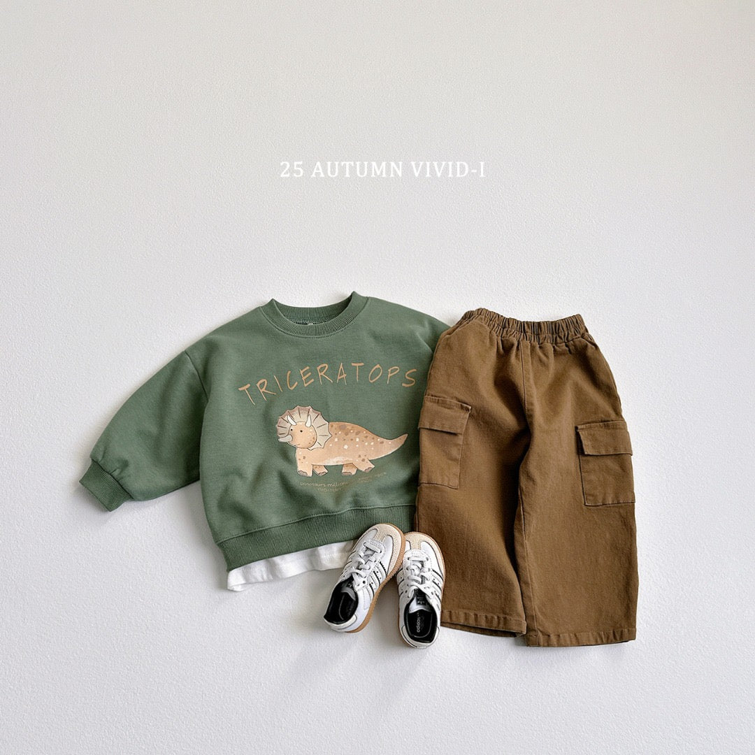 25秋🍁stegosaurus/tyrannosaurus/triceratops恐龍上衣