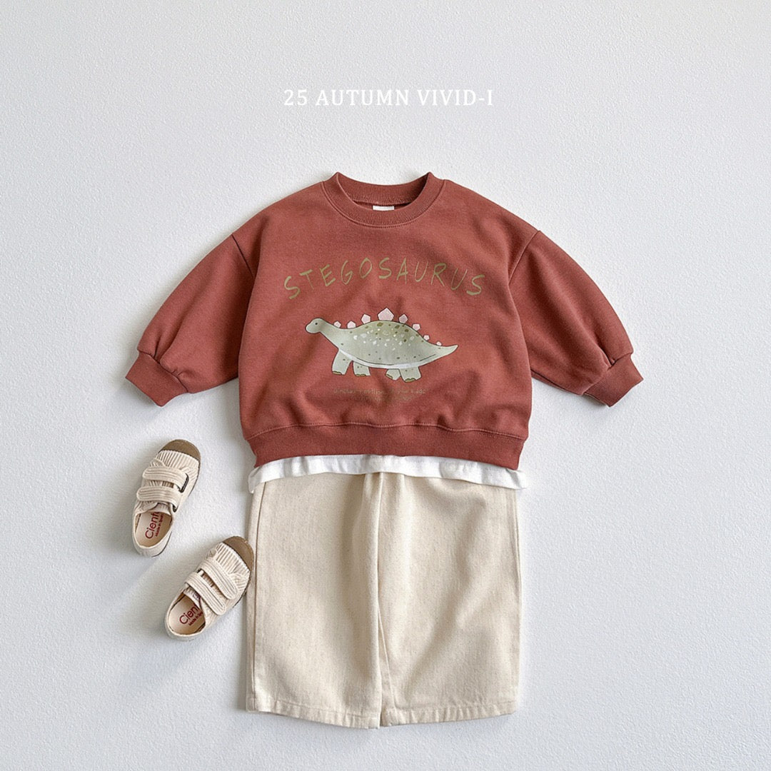 25秋🍁stegosaurus/tyrannosaurus/triceratops恐龍上衣