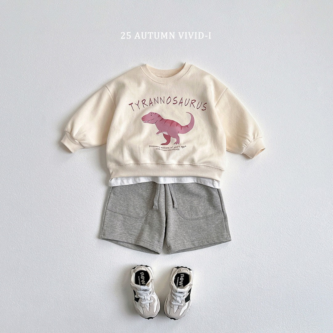 25秋🍁stegosaurus/tyrannosaurus/triceratops恐龍上衣