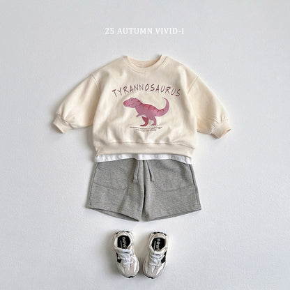 25秋🍁stegosaurus/tyrannosaurus/triceratops恐龍上衣
