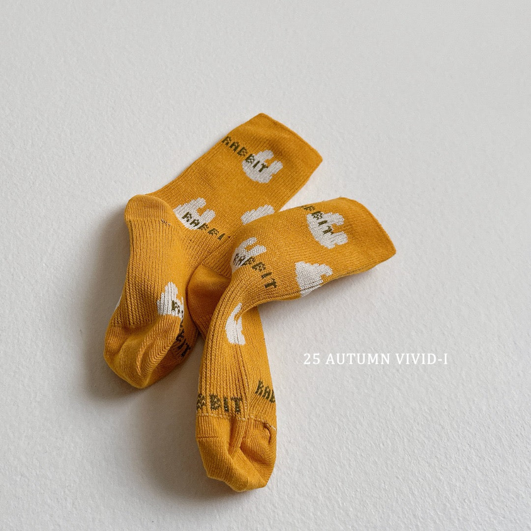 25秋🍁襪子🧦