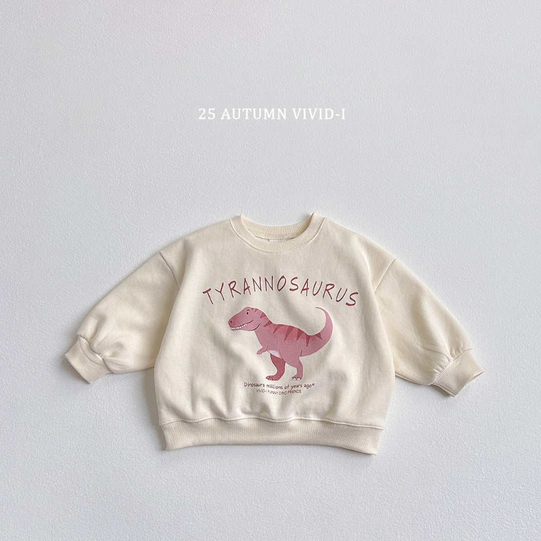 25秋🍁stegosaurus/tyrannosaurus/triceratops恐龍上衣