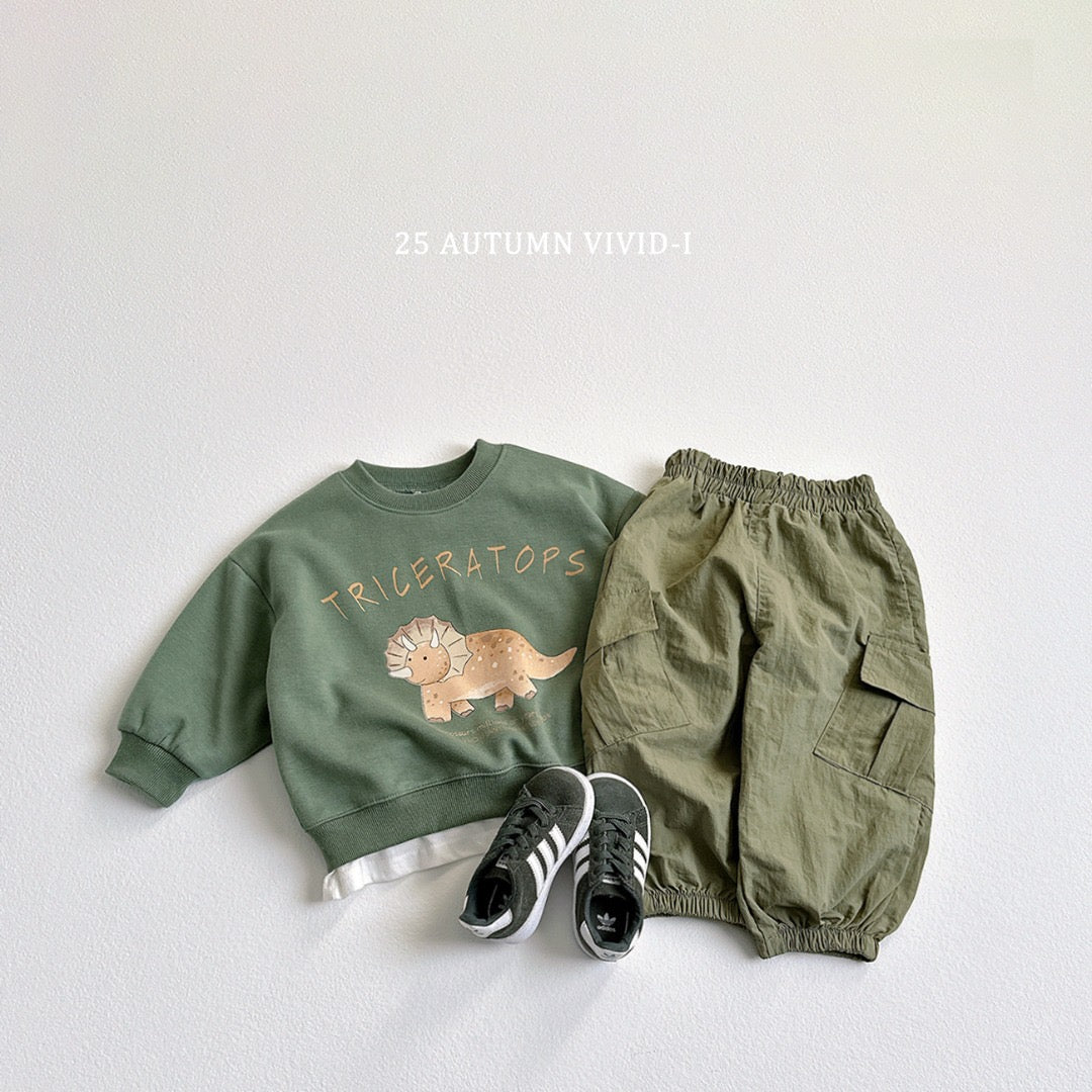 25秋🍁stegosaurus/tyrannosaurus/triceratops恐龍上衣