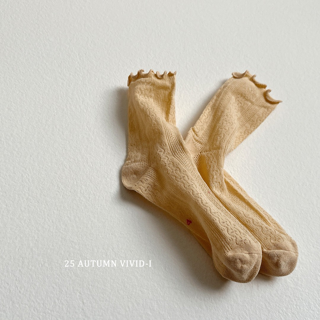 25秋🍁襪子🧦