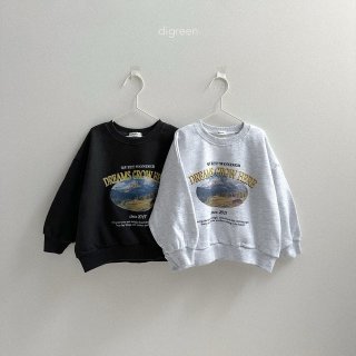 25秋🍁digreen dreams grow here上衣
